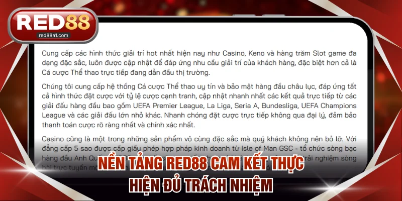 Nền tảng RED88 cam kết thực hiện đủ trách nhiệm