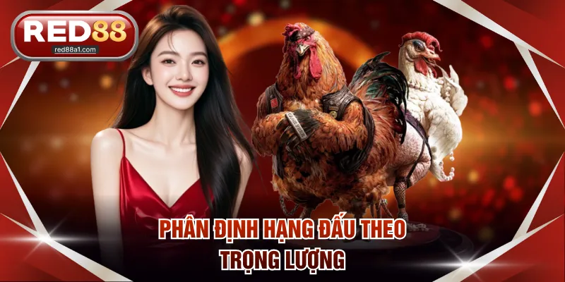 Phân định hạng đấu theo trọng lượng